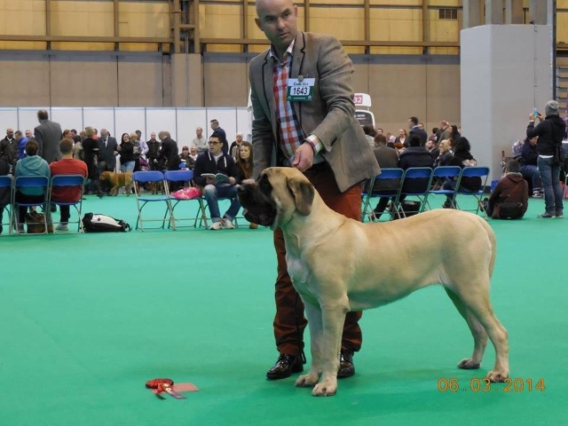 Mona Lisa Crufts 2014.jpg